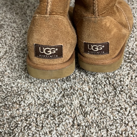 Classic Tall Chestnut Ugg - Picture 4 of 7